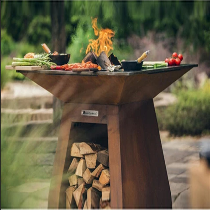 Grilles de barbecue en acier C - Camping Cooking Equipment Electric avis et prix